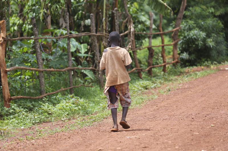 africa, daytime, people, lifestyles, land, one Person, men, plant, green color, motion, top, forest, brown, day, nature, middle, rear view, adult, black