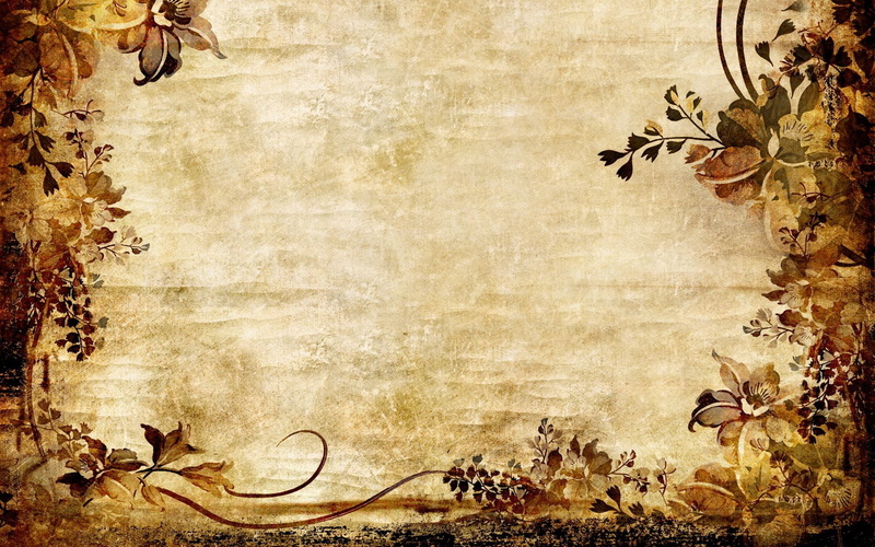 nature, border, autumn, brown, leaves, antique, retro styled, blank, old, indoors, plant, textured effect, plant part, Abstract, copy space, Vintage, backgrounds