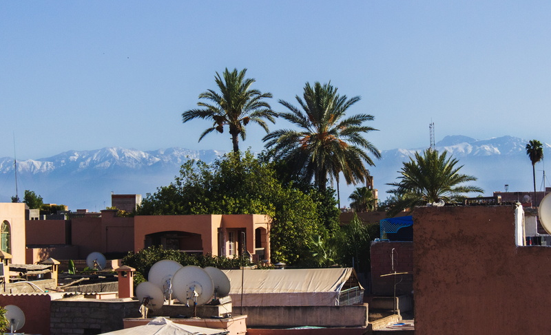 palm tree, sunlight, morocco, view, no people, sky, plant, landmark, tree, africa, built structure, minarets, cityscape, culture, medina, arab, building exterior