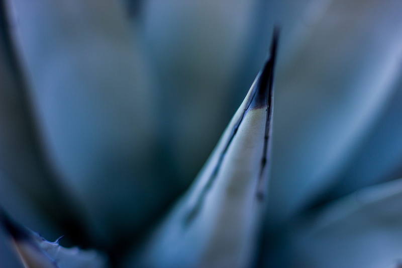 silver colored, business, selective focus, art and craft, computer, extreme close-up, technology, close-up, no people, indoors, wild life, metal, connection
