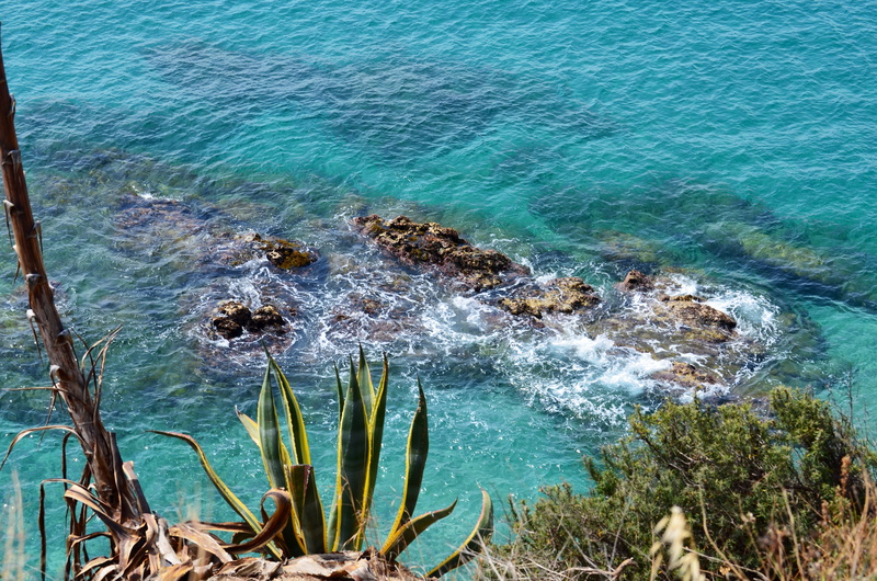 idyllic, tranquil scene, no people, nature, scenics - nature, beach, day, sea, agave, 4K, land, plant, rock, coast, beauty in nature, tranquility, growth