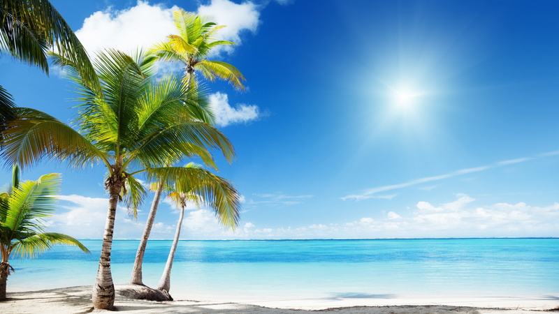 ocean, stunning, beach, corner, landscape, 2K, paradise, palms