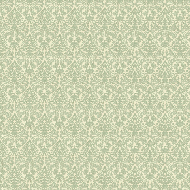 design, ornament, fashion, ornate, old-fashioned, pattern, textured, vintage, leaf, abstract, decor, renaissance, full frame, distressed, vector