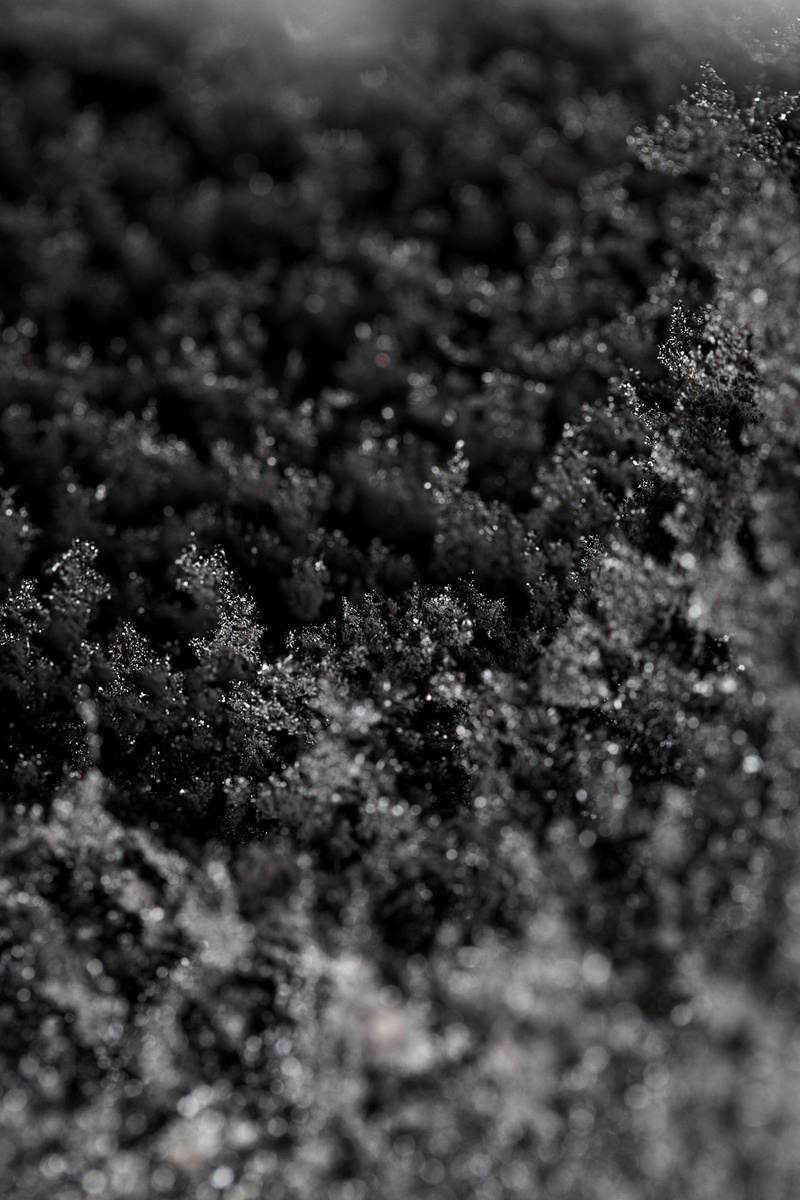 growth, tranquility, food, burn, indoors, texture, sooty, cracked, day, coal, fire, pattern, winter, cold temperature, snow, no people, selective focus