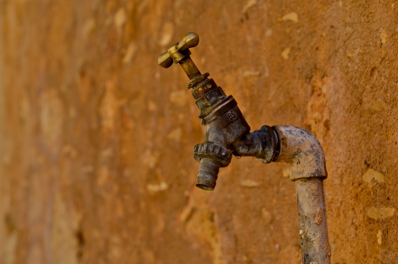 work tool, ochre, knob, weathered, day, outdoors, yellow, rust, faucet, wall - building feature, animal, invertebrate, pipe, animal themes, no people, selective
