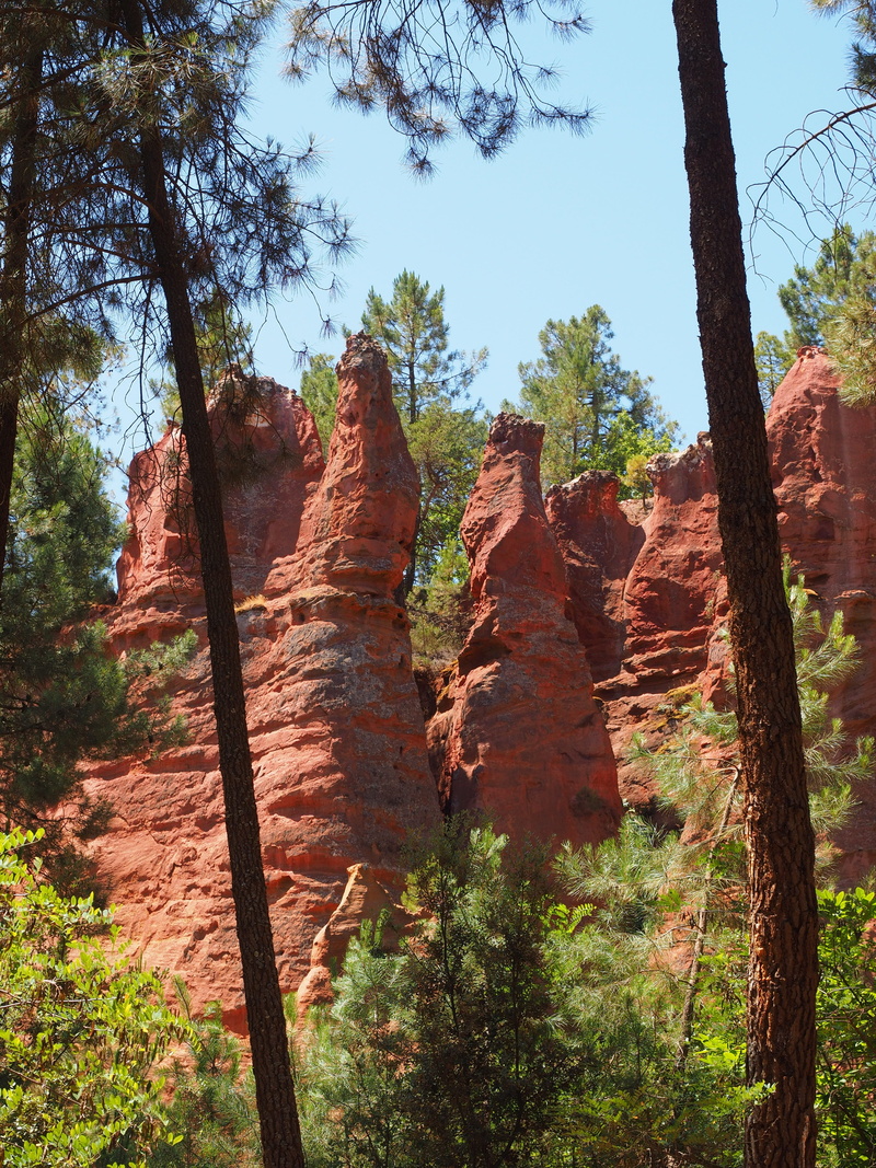 rock, arid climate, hue, pink, roussillon, orange, tree trunk, sandstone, places of interest, non-urban scene, mixture, outdoors, luberon massif, 4K, provence