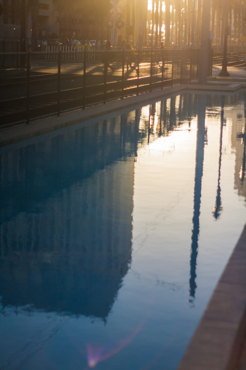 no people, tree, tranquility, waterfront, water, 4K, lake, building exterior, swimming pool, nature, san diego, san diego convention center, reflection