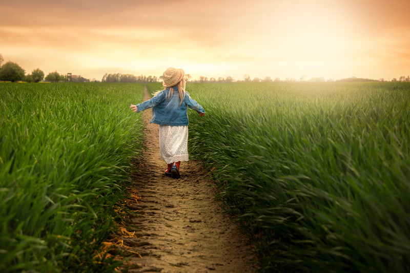 beauty in nature, field, sunset, cereal plant, surrounded, farmer, females, real people, 5K, casual clothing, walk, boys, springtime, child, environment