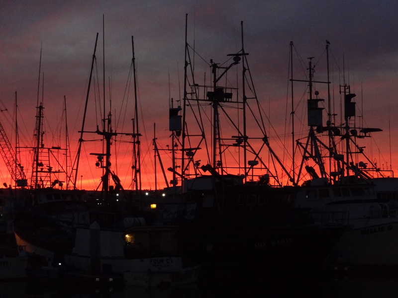 california, dusk, transportation, nature, sky, orange color, night, water, nautical vessel, architecture, nautical, sailboat, mode of transportation, pole