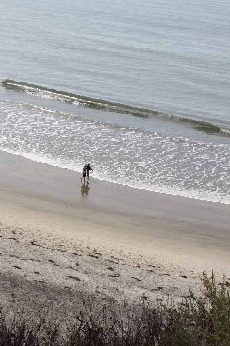 lifestyles, high angle view, sea, nature, san diego, outdoors, motion, water, beach, real people, people, california, day, wave, market, 4K, bay, men