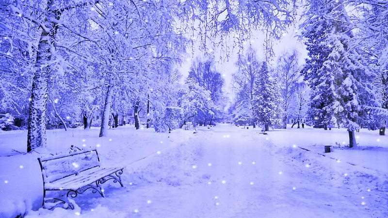 white, nice, snow, bench, snowy, beautiful, winter, rest, cold, calm, trees, snowflakes, 1080P, lovely, alleys