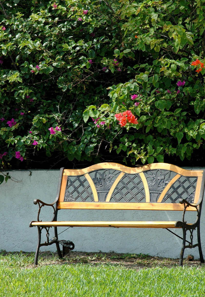 empty, table, orange, 1080P, plant, seat, park bench, garden, pink, tropics, bougainvillea, day, no people, bench, growth, resting spot, flowers, flowering plant