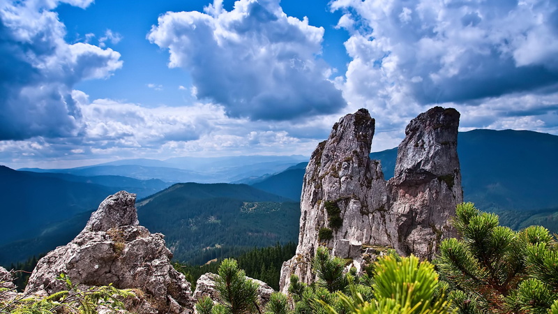 tree, formation, beauty in nature, tranquility, cloud - sky, tranquil scene, nature, rock formation, sky, non-urban scene, solid, no people, scape, environment