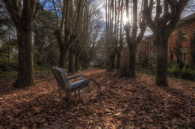 chair, 1080P, house, fall, trees, Wheelchair