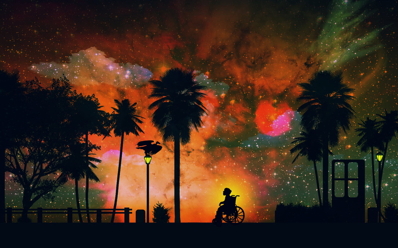 palm tree, cloud - sky, orange color, wheelchair, street, real people, painting, scenics - nature, transportation, beauty in nature, sky, nature, man, people