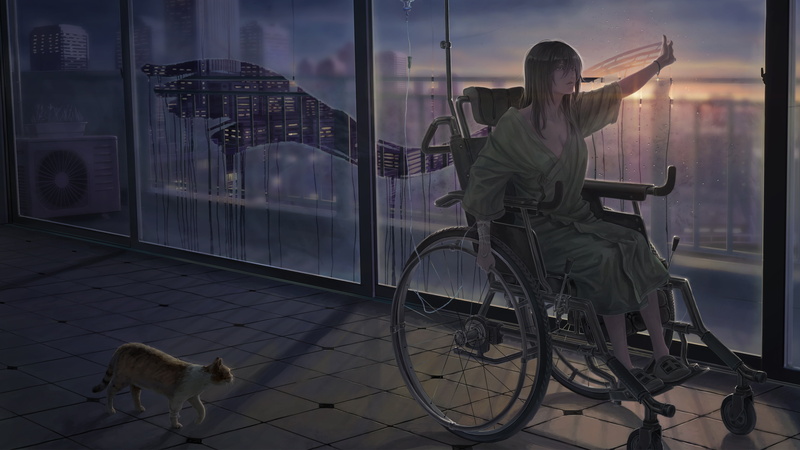 Girl, 4K, Wheelchair, Cat, Anime