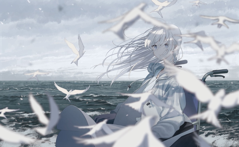 Sea, Bird, Girl, Wheelchair, Anime, Original, 1080P