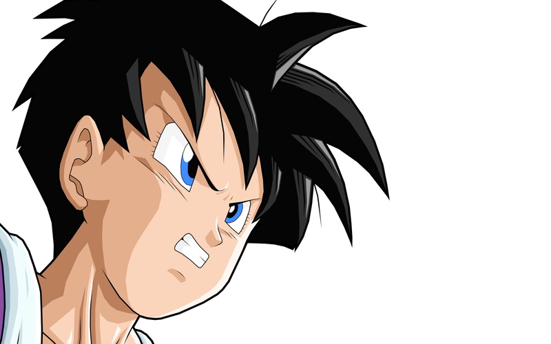 Dragon Ball Z, Videl, Dragon Ball, 2K