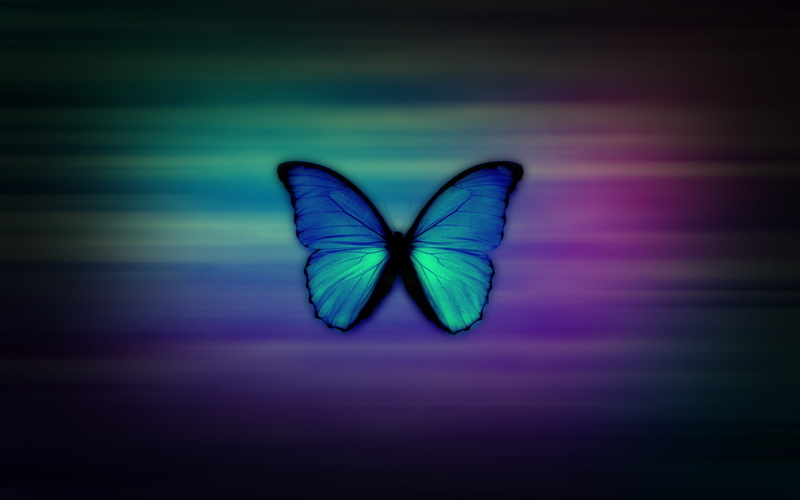 x, hd, blue, animals, blue morpho, Butterfly, 720P, butterflies, morpho, art