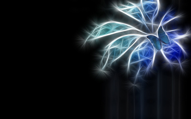 Animal, Flower, Butterfly, Blue, Fractal, morpho, 1080P