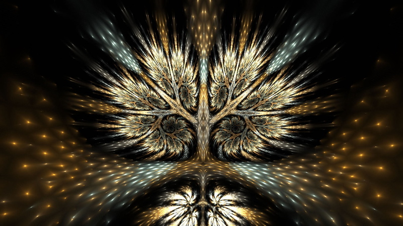 light - Natural Phenomenon, black, night, abstract, motion, multi Colored, close-up, plant, tree, glowing, firework Display, feather, pattern, colors, dark