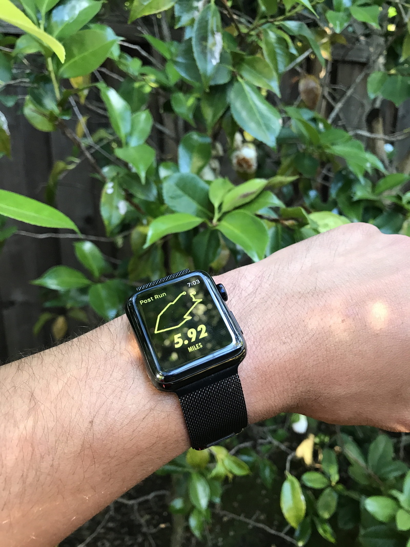 nike plus, close-up, running, human body part, united states, hand, nike, plant part, palo alto, human hand, lifestyles, human limb, nature, apple, 4K