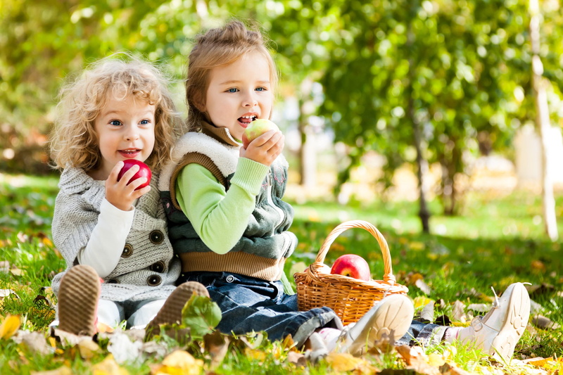 positive emotion, sibling, snack, summer, apple - Fruit, girl, food And Drink, formal Garden, eating, baby Girls, day, outdoors, beauty, park - Man Made Space