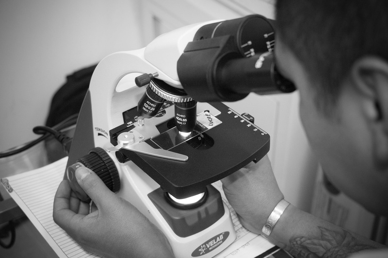 technology, team, human hand, lab, working, men, occupation, equipment, real people, 2K, technical, adult, machinery, expertise, research, hand, indoors