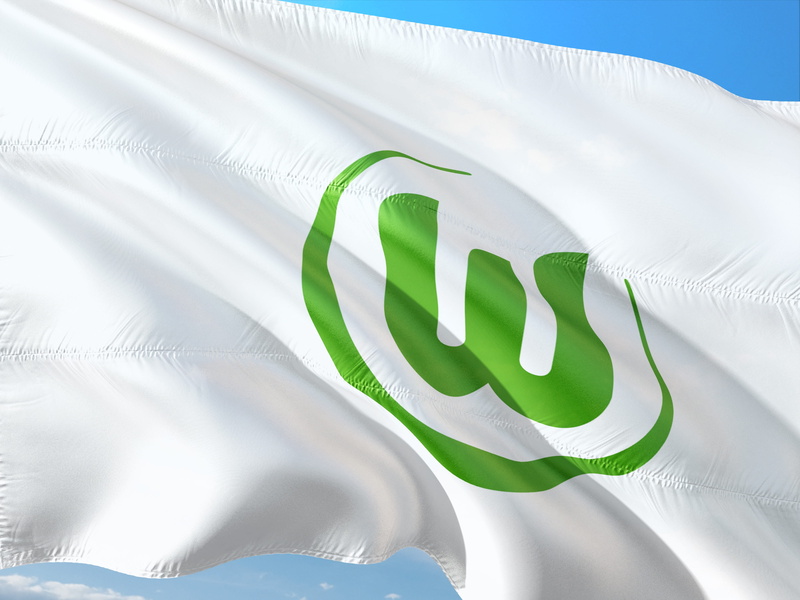 close-up, nature, protection, education, environment, environmental conservation, studio shot, 4K, football, bundesliga, green color, logo, vfl wolfsburg