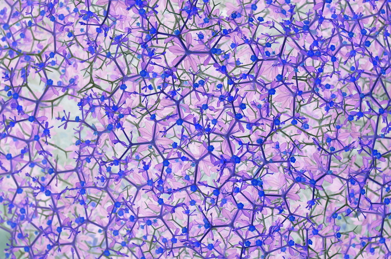 blue, 1080P, microbiology, biochemistry, healthcare and medicine, education, full frame, flowers, genetic research, trudging, backgrounds, magnification