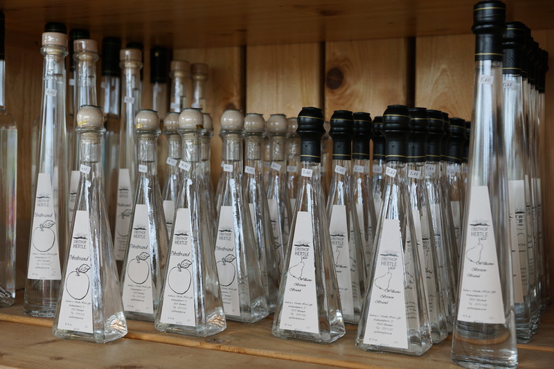 education, medical research, brandy, business, science, no people, healthcare and medicine, exhibit, braurei, vascular, glass, indoors, test tube, music
