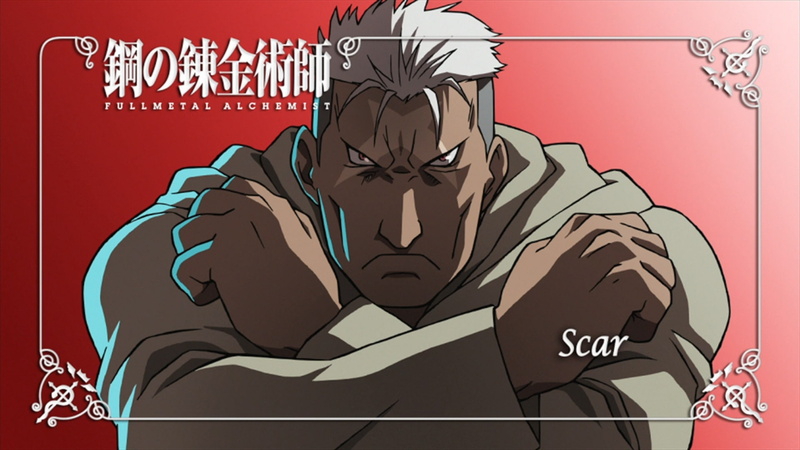 healthcare and medicine, vertebrate, people, bird, western script, sign, Fullmetal Alchemist: Brotherhood, mammal, domestic animals, 1080P, men, communication