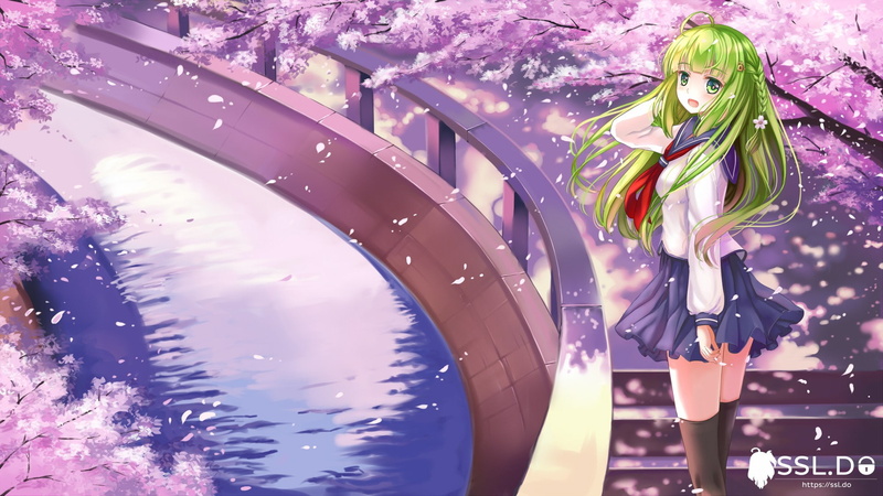 skirt, long hair, green eyes, 1080P, green hair, braids, anime, anime girls, stockings, water