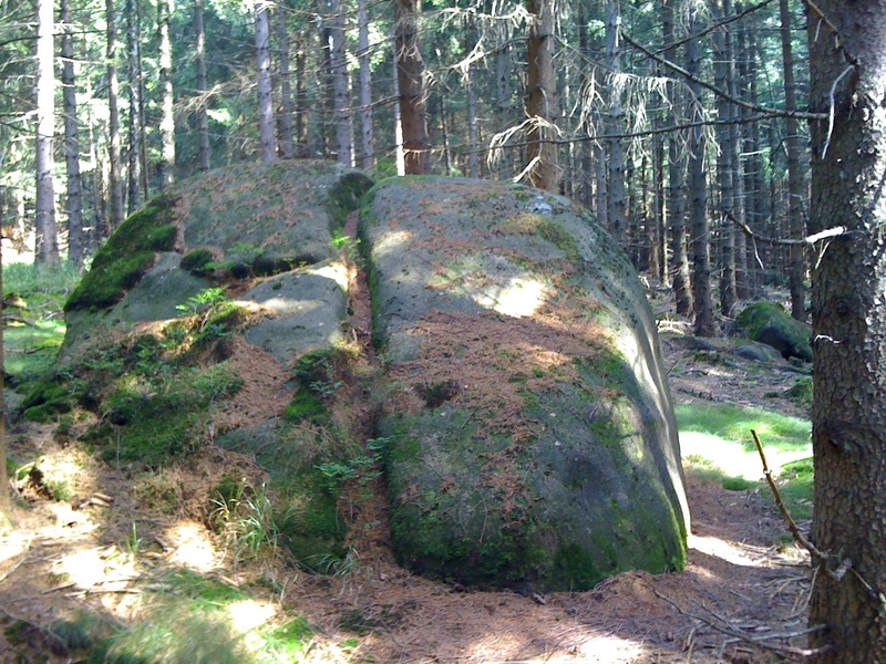stone, sunlight, tranquil scene, beauty in nature, remote, resin, tree, boulder, trunk, 720P, land, no people, forest, green color, non-urban scene, scenics - nature