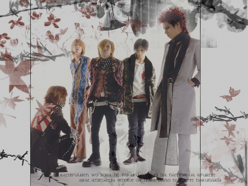 dir en grey, 480P