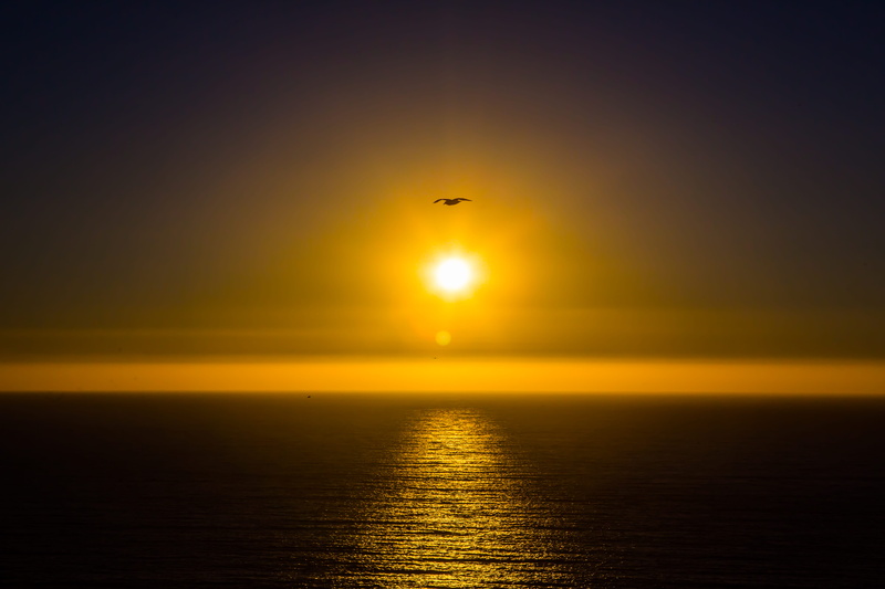 tranquil scene, 5K, calm, animal themes, no people, beauty in nature, dawn, sunrise, sunset, light, flare, orange color, dusk, horizon over water, sky