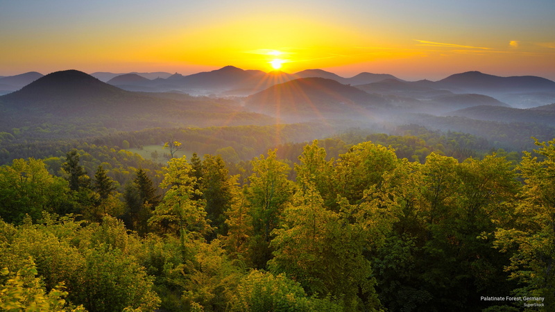 Sunrises/Sunsets, 2K, forest, palatinate, germany