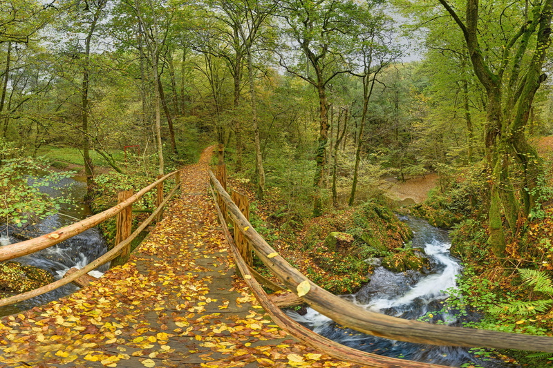 Liancourt, 1080P, trees, river, Park, Germany, forest, Leienkaul, autumn, bridge, Rhineland-Palatinate, leaves