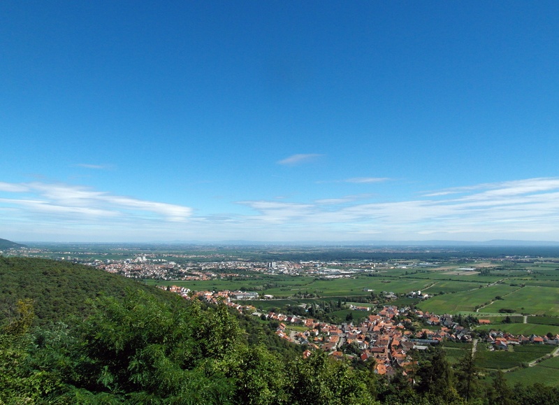 nature, landscape, sky, wide, land, architecture, tree, high angle view, day, built structure, rhine valley, blue, building exterior, 4K, palatinate, plant