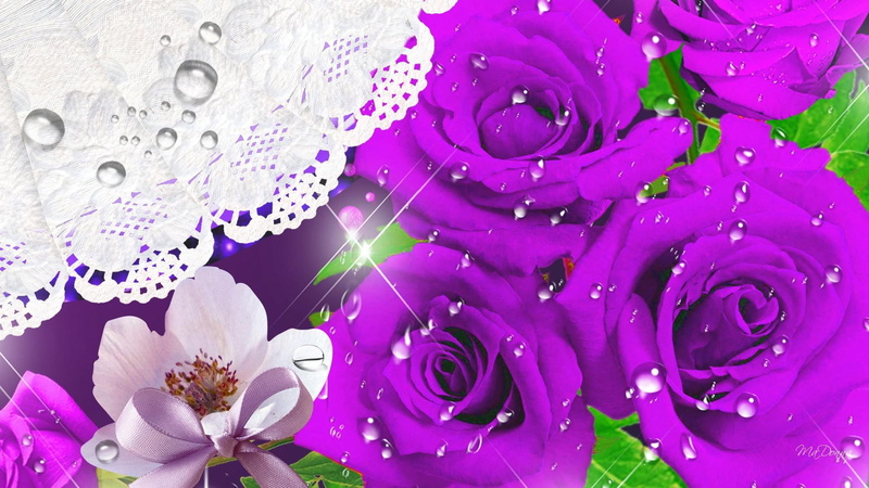 pink, dew drops, bright, 1080P, roses, 3d and abstract, doily, majenta, lace, rain, fuschia, flowers, blossoms