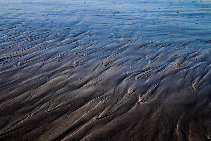 hermanus, reflection, sea, animal, group of animals, environment, nature, beauty in nature, day, mammal, lines, animal themes, blue, south africa, sand