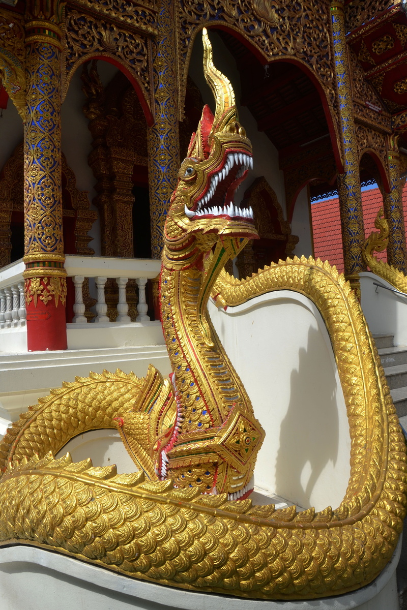 creativity, culture, ancient, place of worship, built structure, brown, representation, animal, building exterior, eastern, tattoo, chiang mai, fantasy