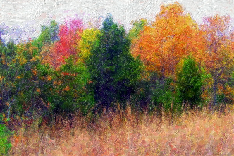 canvas, artwork, watercolor, style, tranquility, frame, nature, coniferous tree, outdoors, tree, autumn, growth, artistic, poster, no people, scenics - nature