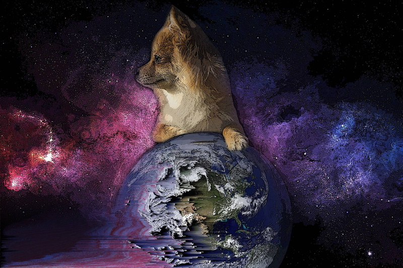 star - space, astronomy, no people, beauty in nature, star, mammal, night, animal themes, animal, water, galaxy, creativity, reflection, animals, pixel sorting