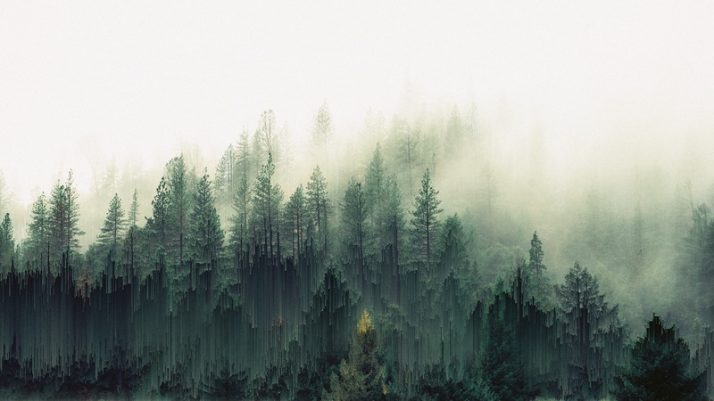 forest trees mist pixel sorting, 1080P