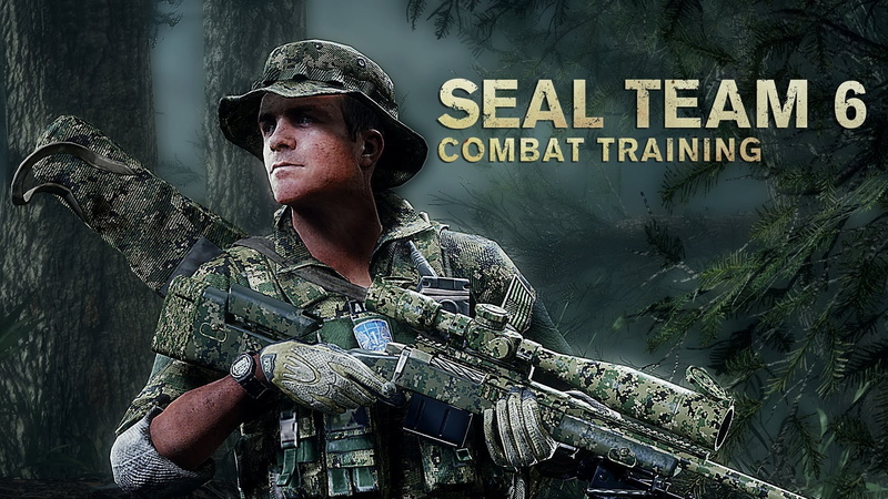 drama, poster, weapon, crime, fighting, seal, navy, honor, team, warrior, 1080P, soldier, action, medal, military, assault, rifle