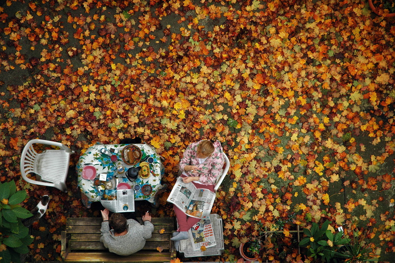 near, collection, news paper, leaf, person, paper currency, fall, container, bag, overhead, currency, beauty in nature, covered, plant part, two, bench