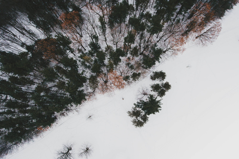 nature, field, snowcapped mountain, tree, aerial view, aerial, photography, mountain, beauty in nature, woodland, tranquility, day, white color, forest