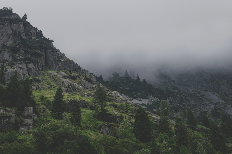 beauty in nature, mountain, non-urban scene, rauh, day, oppressive, rock - Object, pine tree, photo, coniferous tree, plant, fog, land, clouds, tree, rock