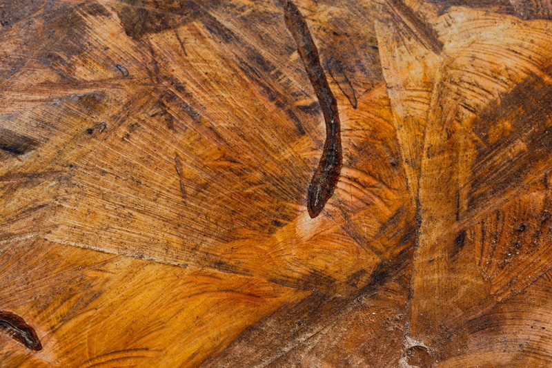 of course, smooth, old, wood - material, rough, brown, flooring, outdoors, art, texture, nature, solid, full frame, pattern, environment, arts crafts, tree